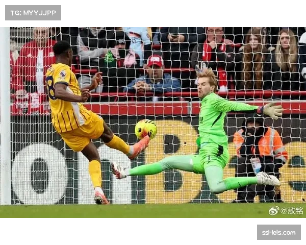 布伦特福德1-1布莱顿，蜜蜂军团在少打一人情况下坚守拿到一分